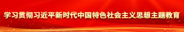 男人艹女人小说学习贯彻习近平新时代中国特色社会主义思想主题教育